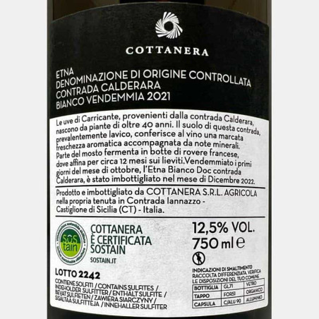 Bílé víno-24211521