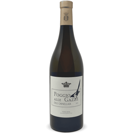 Bílé víno-26510521